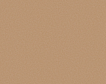 [200111120_25] Taralay Initial Compact - 0954 Spider Dore